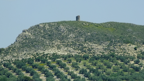 Torre del Chopo 4